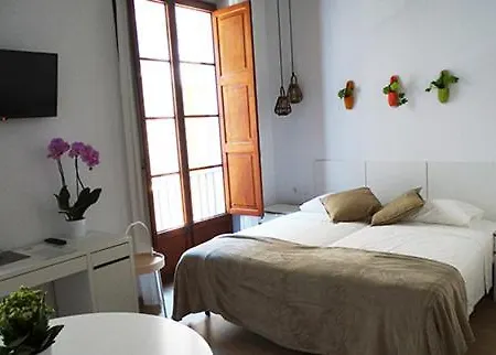 Made In -turismo De Interior Mini-hôtel Palma